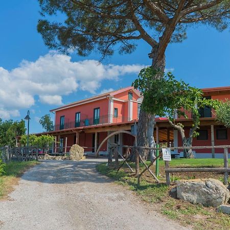Bed and Breakfast Terra Di Vento Montecorvino Pugliano Zewnętrze zdjęcie