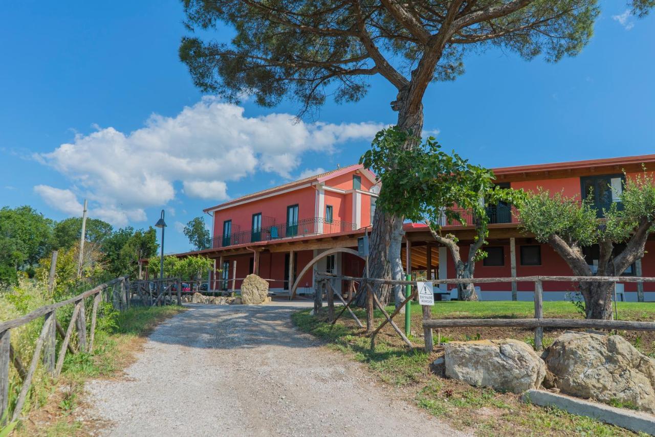Bed and Breakfast Terra Di Vento Montecorvino Pugliano Zewnętrze zdjęcie